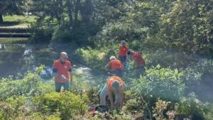 Leden van de Rotary Bussum doen mee met de Water Cleanup en ruimen op en langs het water op.